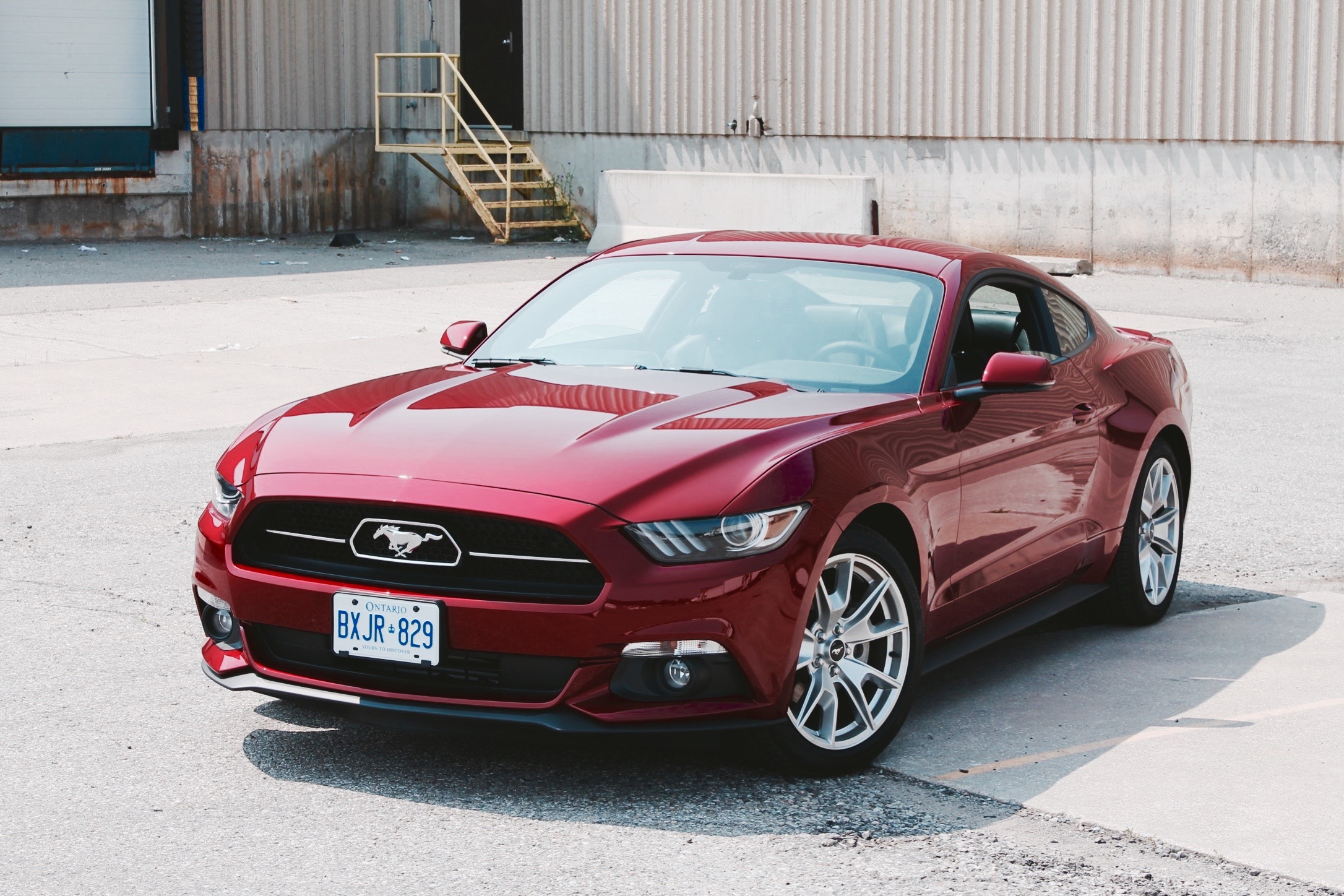 How much to lease a ford mustang #8